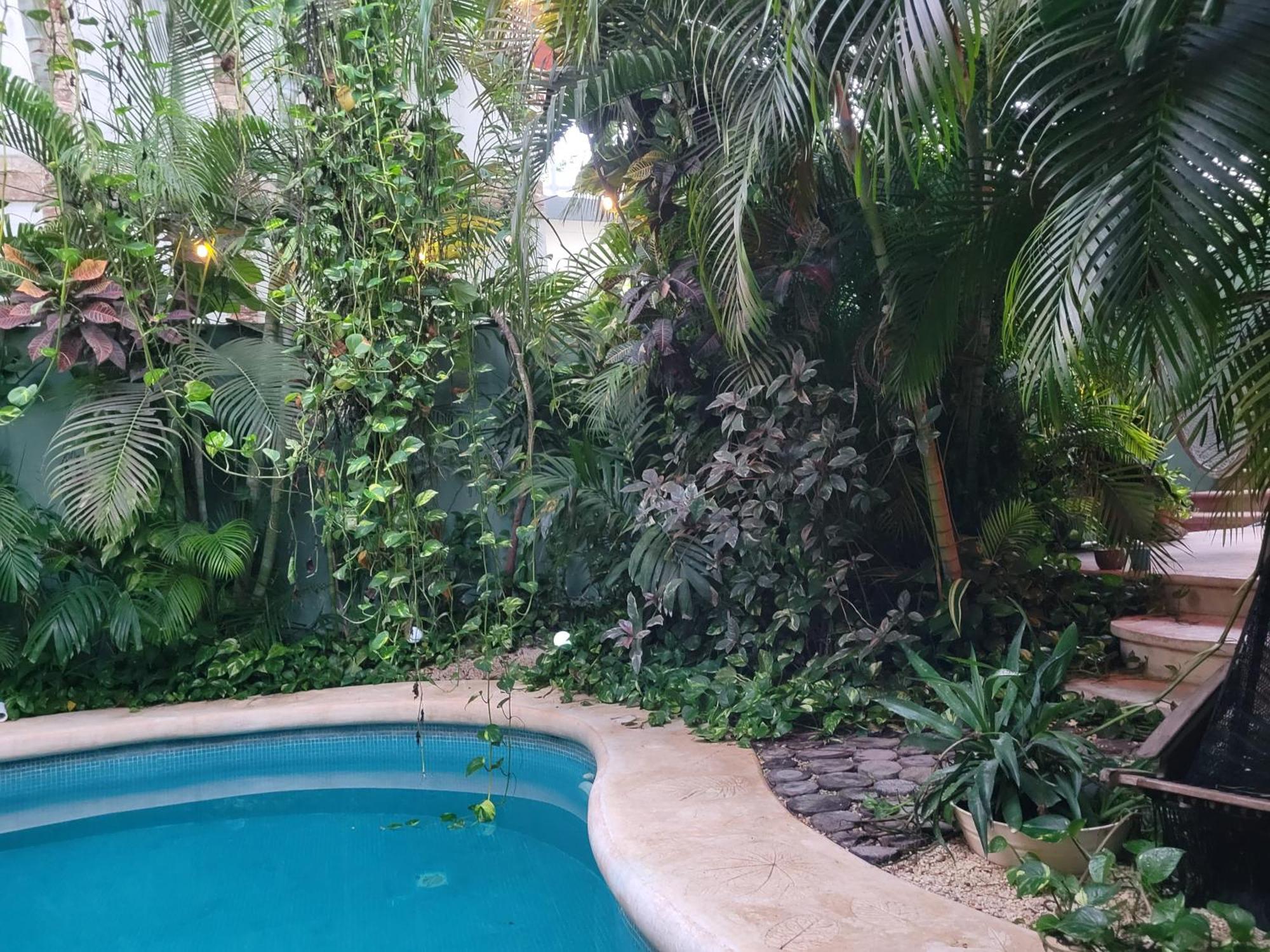 The Secret Garden