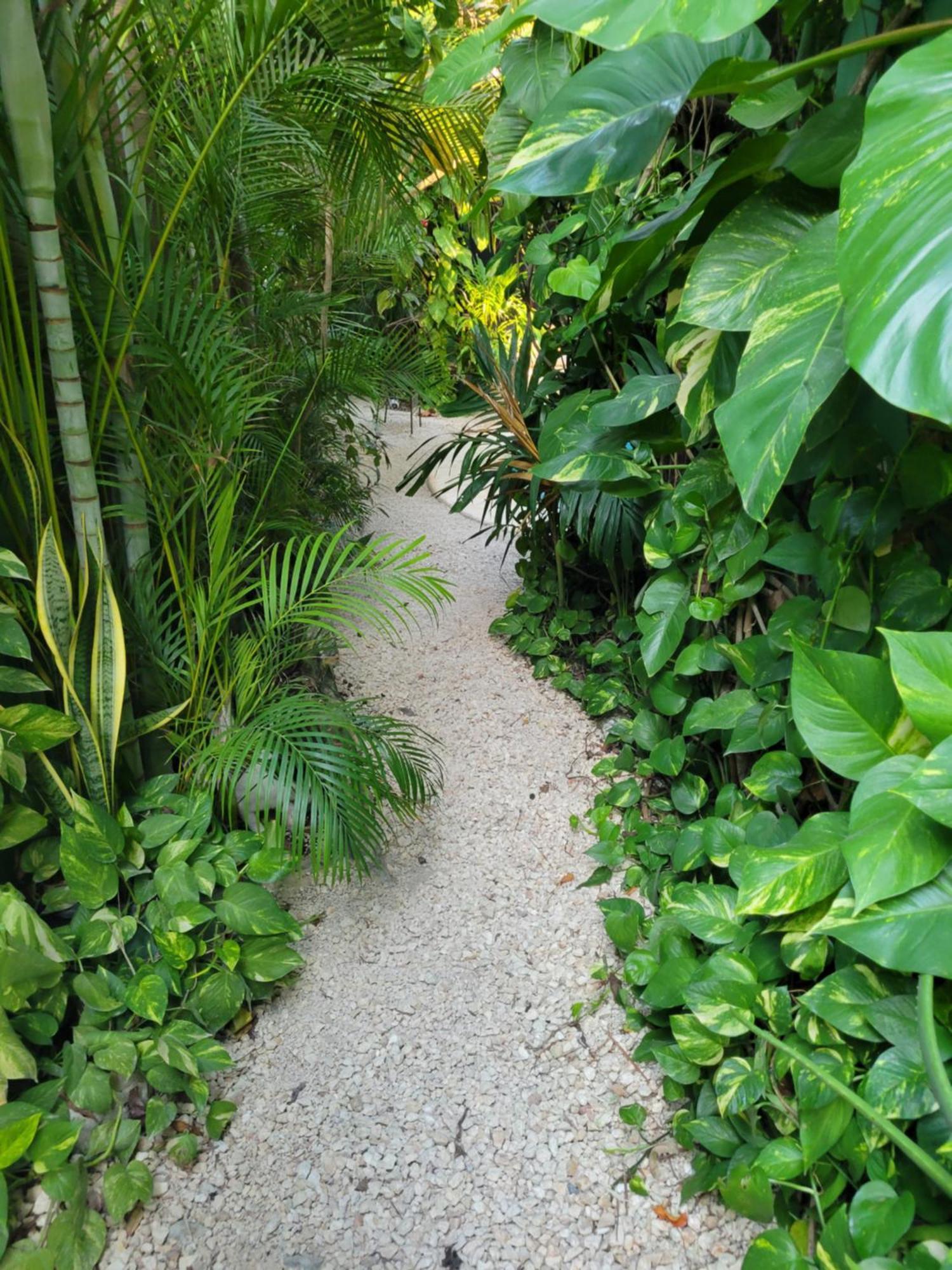 The Secret Garden