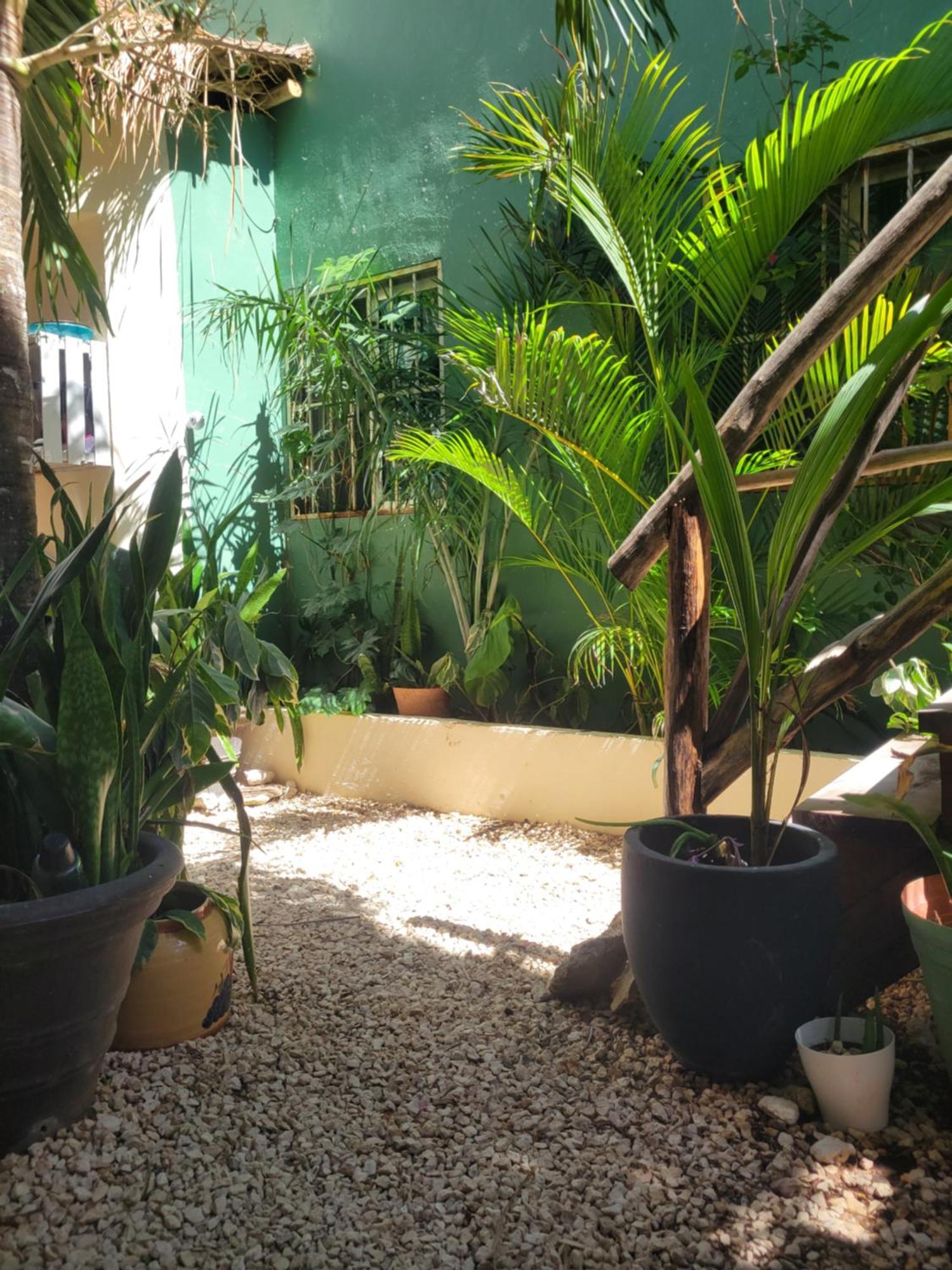 Apartment The Secret Garden