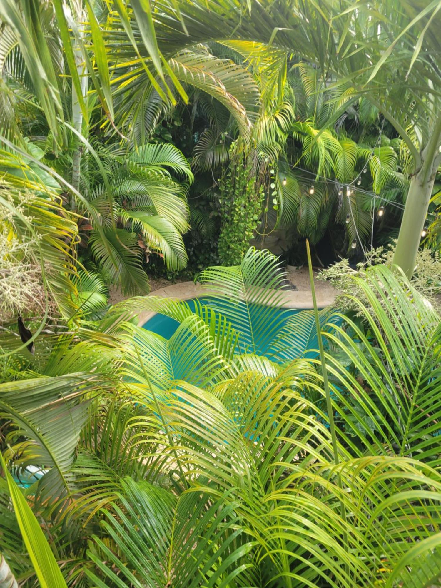 Apartment The Secret Garden