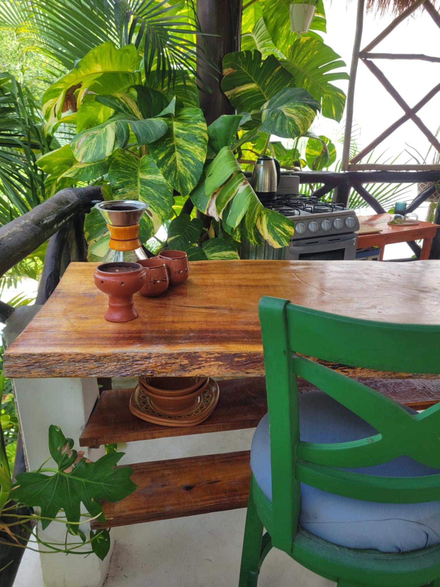 The Secret Garden Apartment