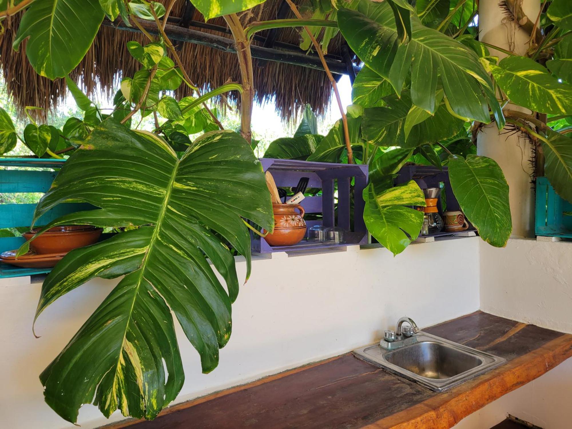 The Secret Garden Apartment