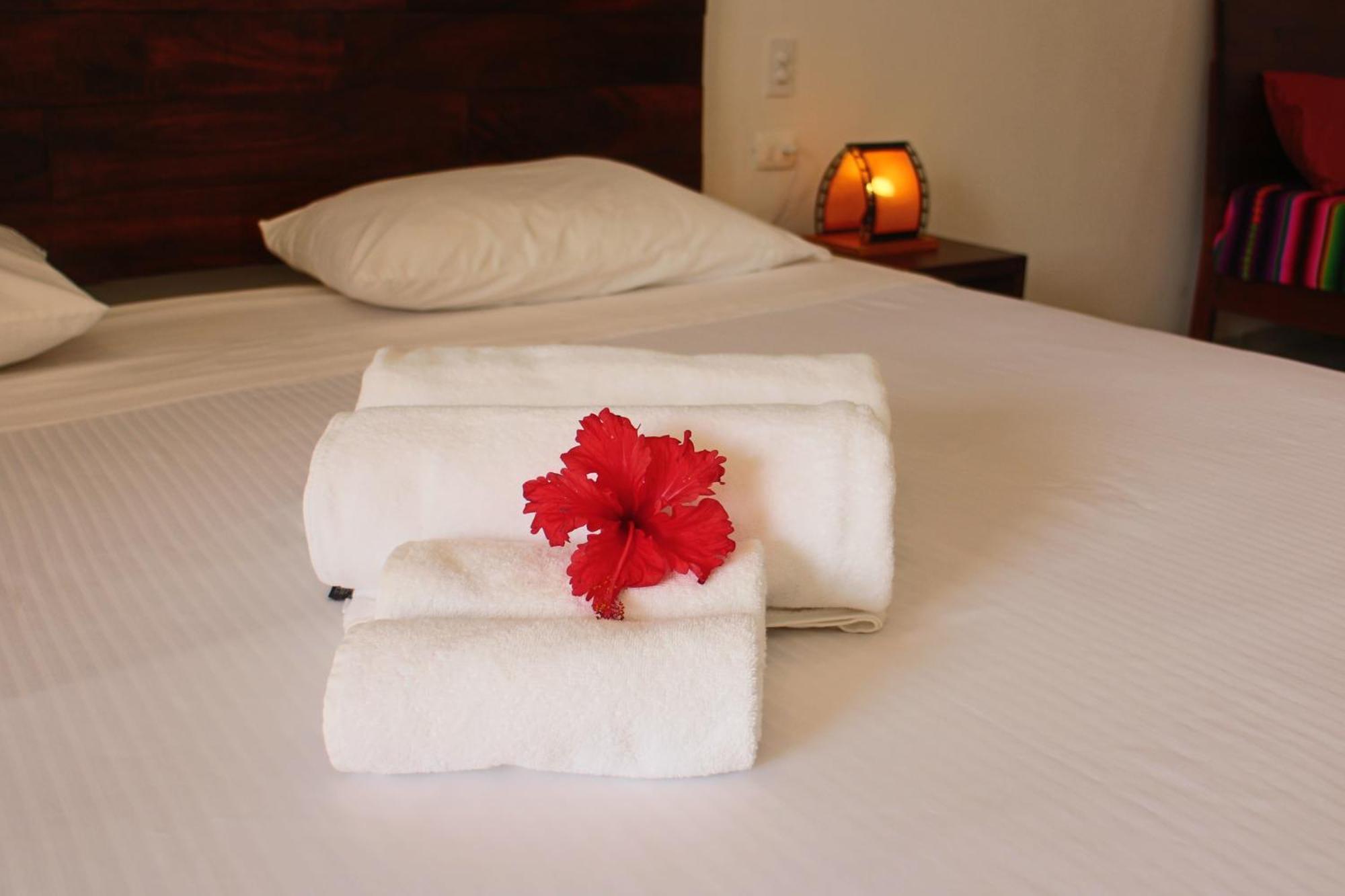 Basic Hotel 3*