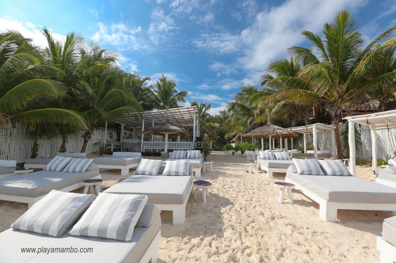 Hotel Playa Mambo Eco Cabanas