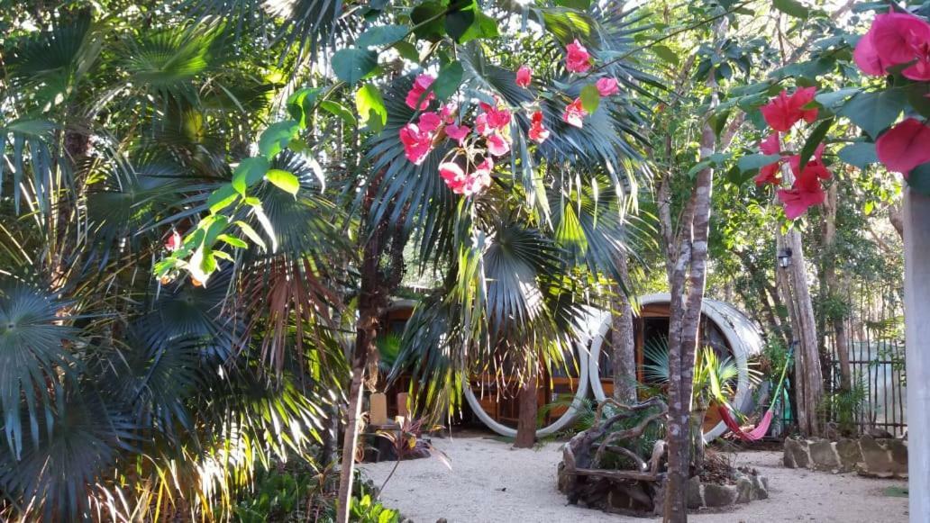 Hostal Tubo *