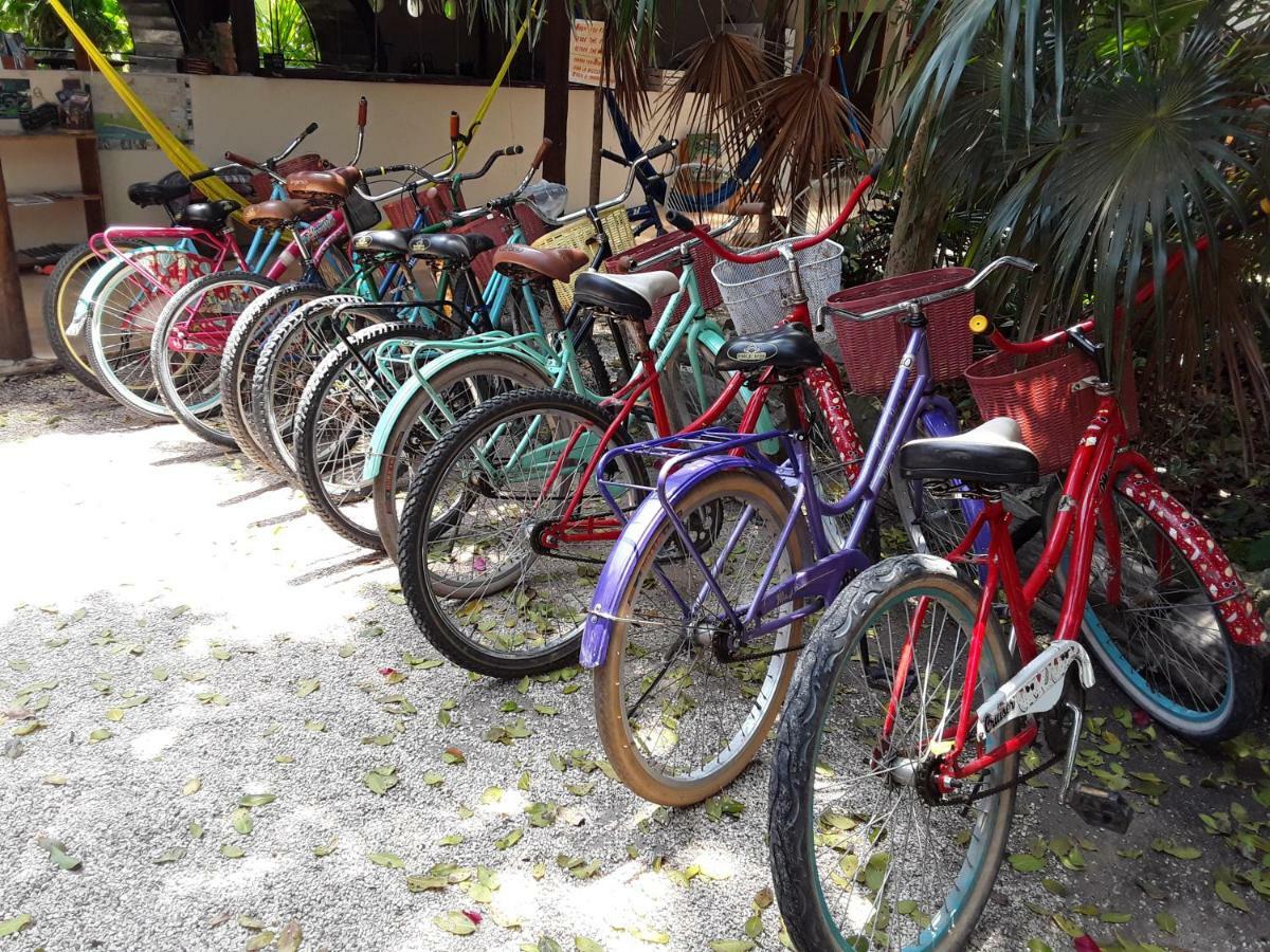 Tubo Hostal Tulum