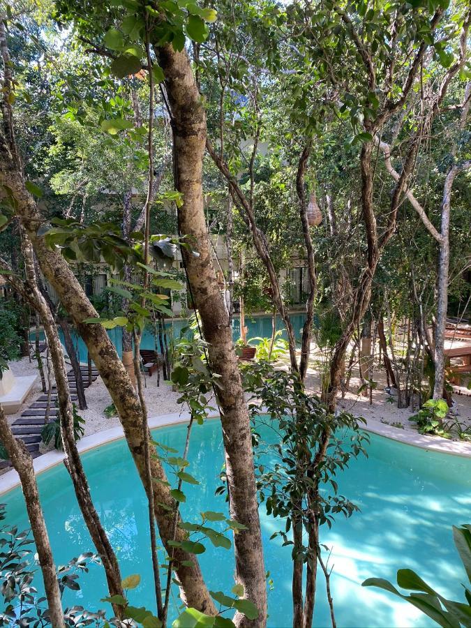 Jungle View 2bed 2bath Condo/ Wi-fi/ Pool/ Gym Apartamento Tulum