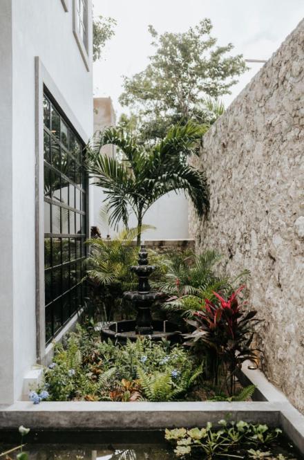 Kings Mansion For 26 Guests! Apartment Tulum