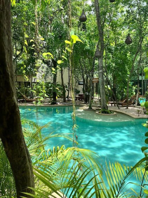 Apartamento Jungle View 2bed 2bath Condo/ Wi-fi/ Pool/ Gym