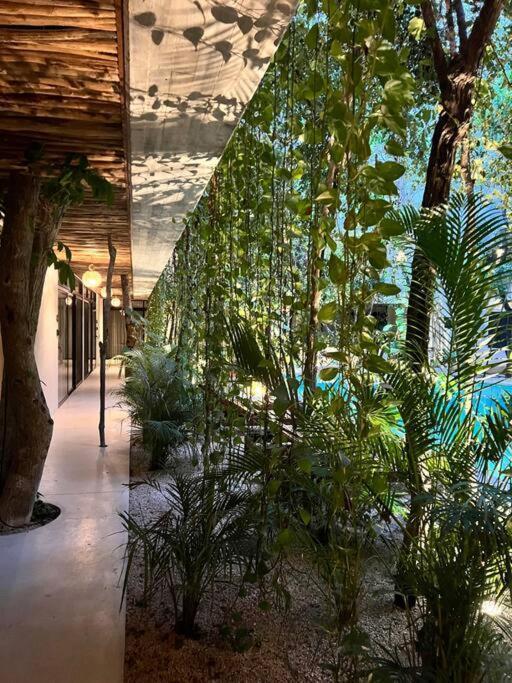 Apartamento Jungle View 2bed 2bath Condo/ Wi-fi/ Pool/ Gym *