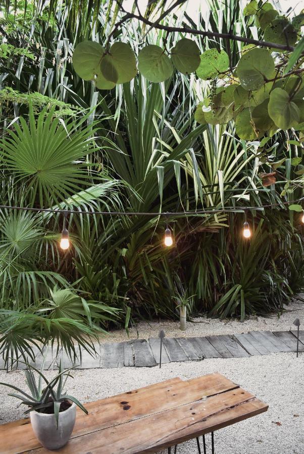 Amor Rooms Hotel Tulum