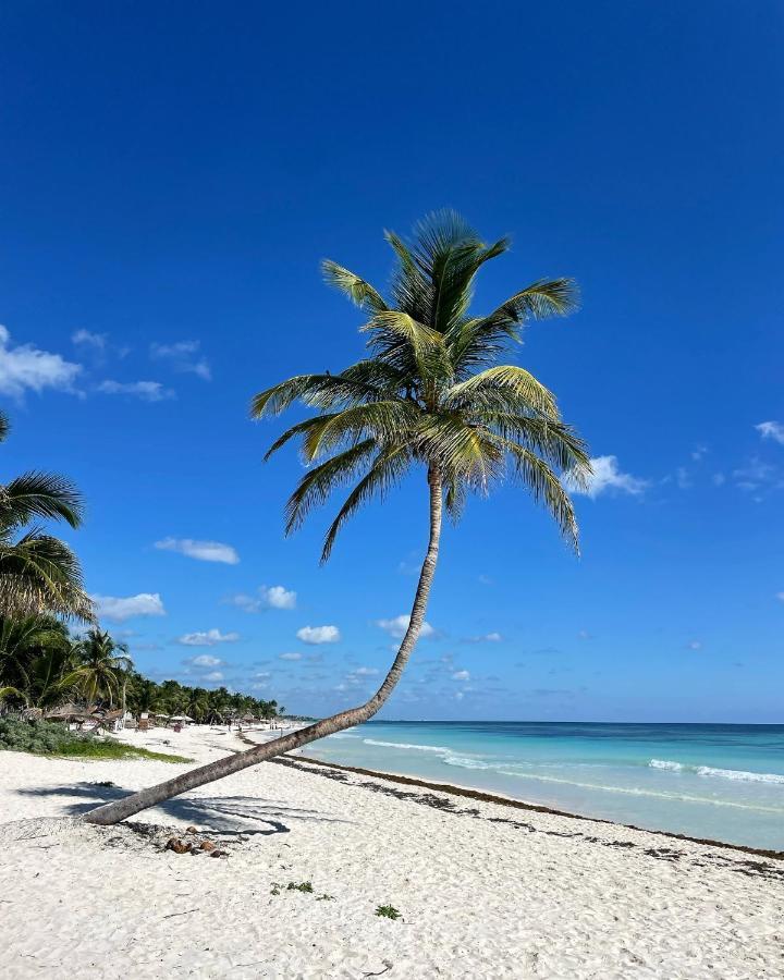 Chavez Eco And Campsite Tulum
