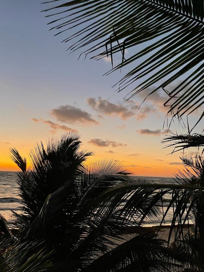 Chavez Eco And Tulum