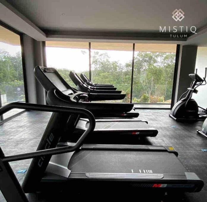 De Lujo, Alberca, Gym, Jacuzzi En Areas Comunes Tulum