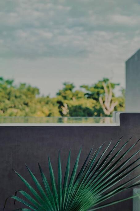 Jungle Lounge Barefoot Luxury 3br Two Level Penthouse With Pool In Luum Zama Apartment Tulum