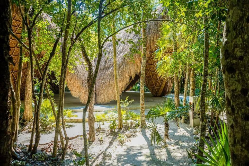 Jungle Lounge Barefoot Luxury 3br Two Level Penthouse With Pool In Luum Zama Apartment