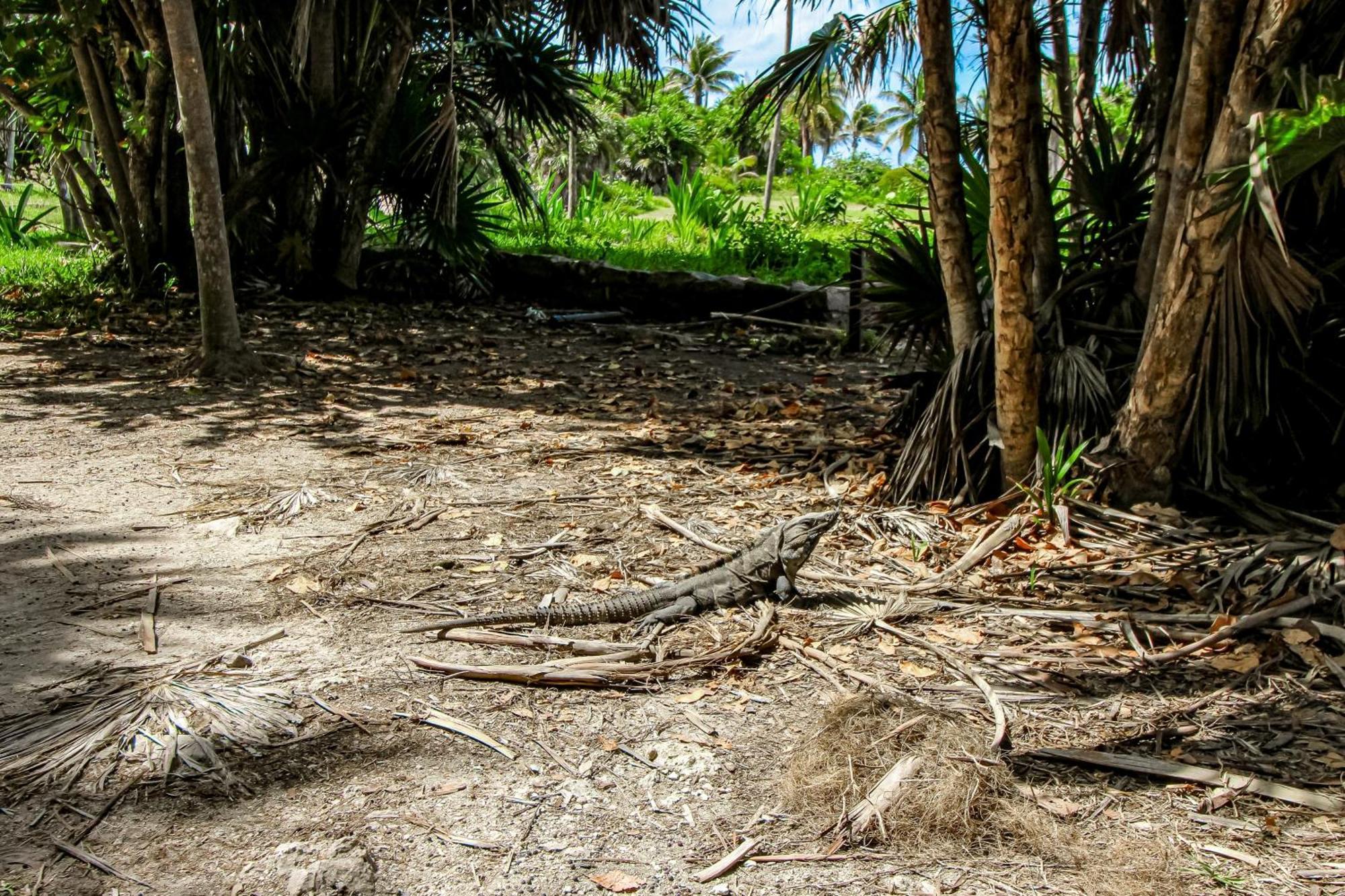 Apartment Casa Xila 401 Tulum