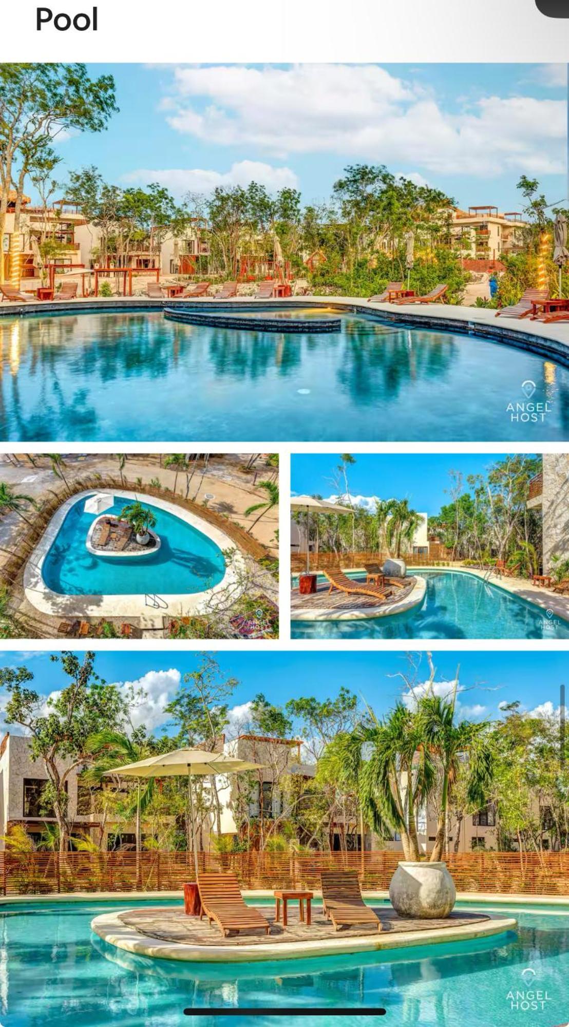 Hotel Jungle 4*