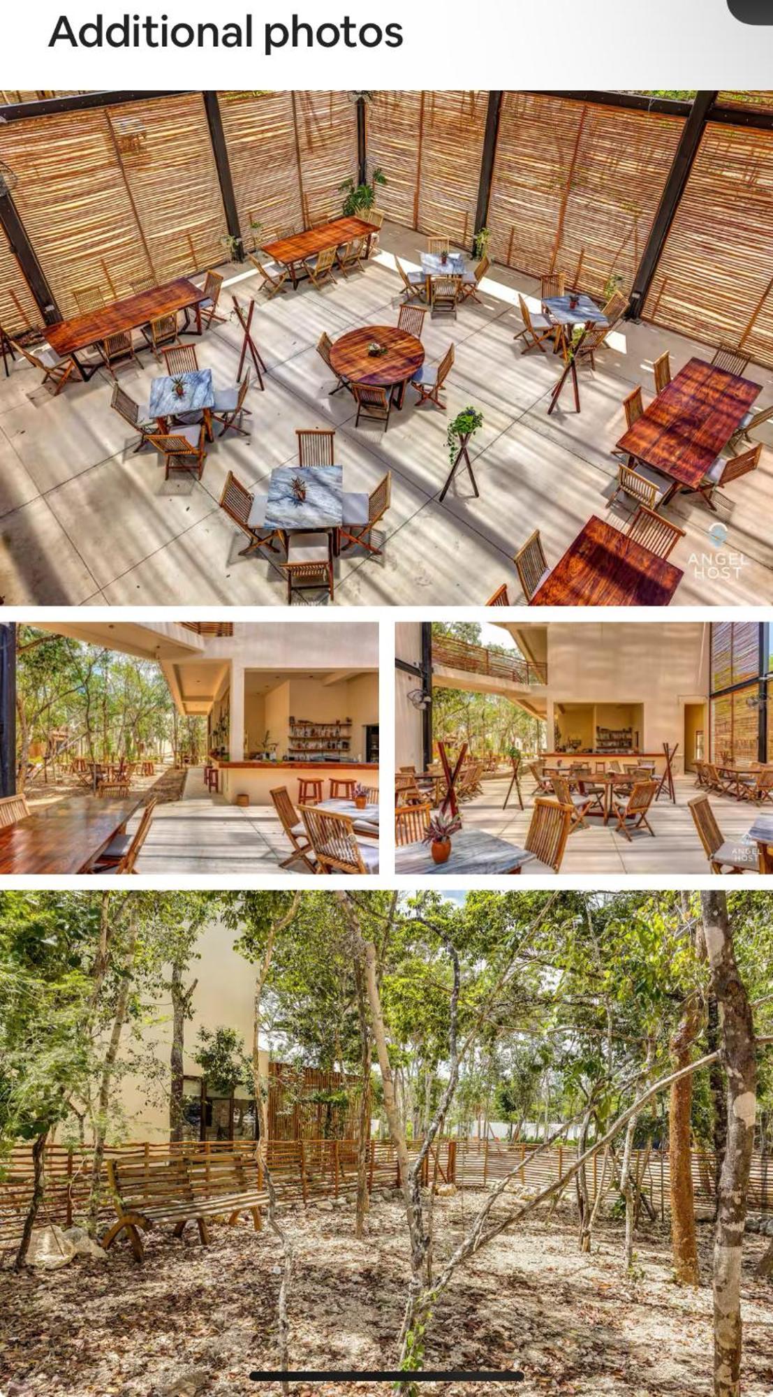 Jungle 4*