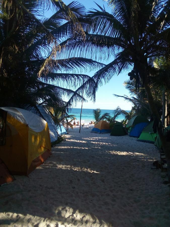 Campsite Chavez Eco And *