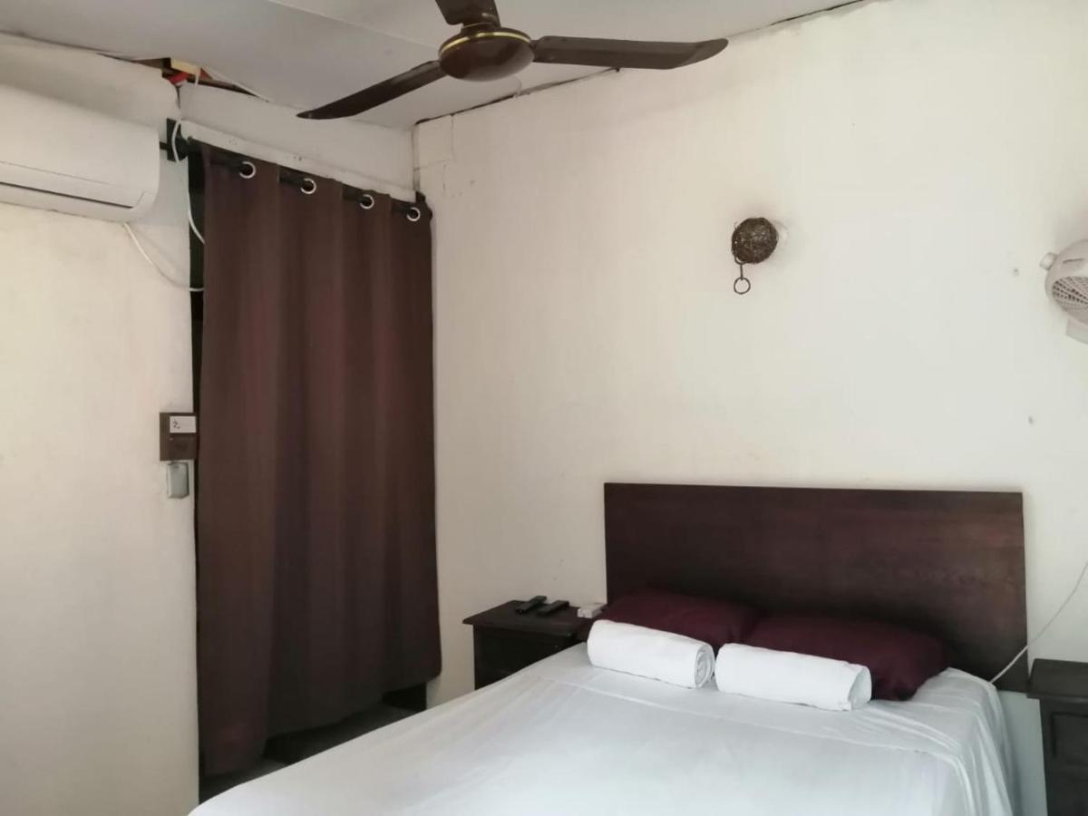 Hostel Glamping *