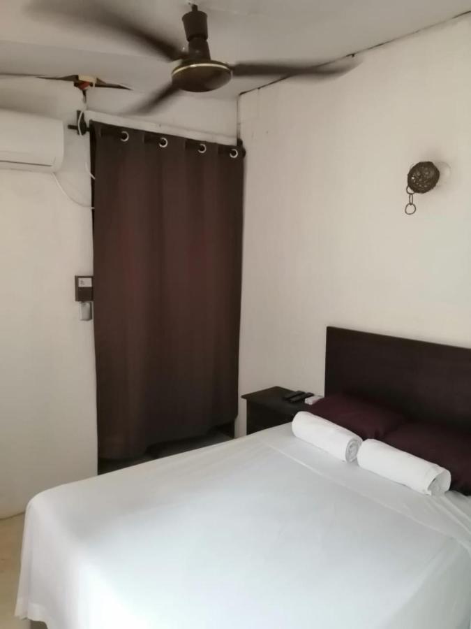 Hostel Glamping *