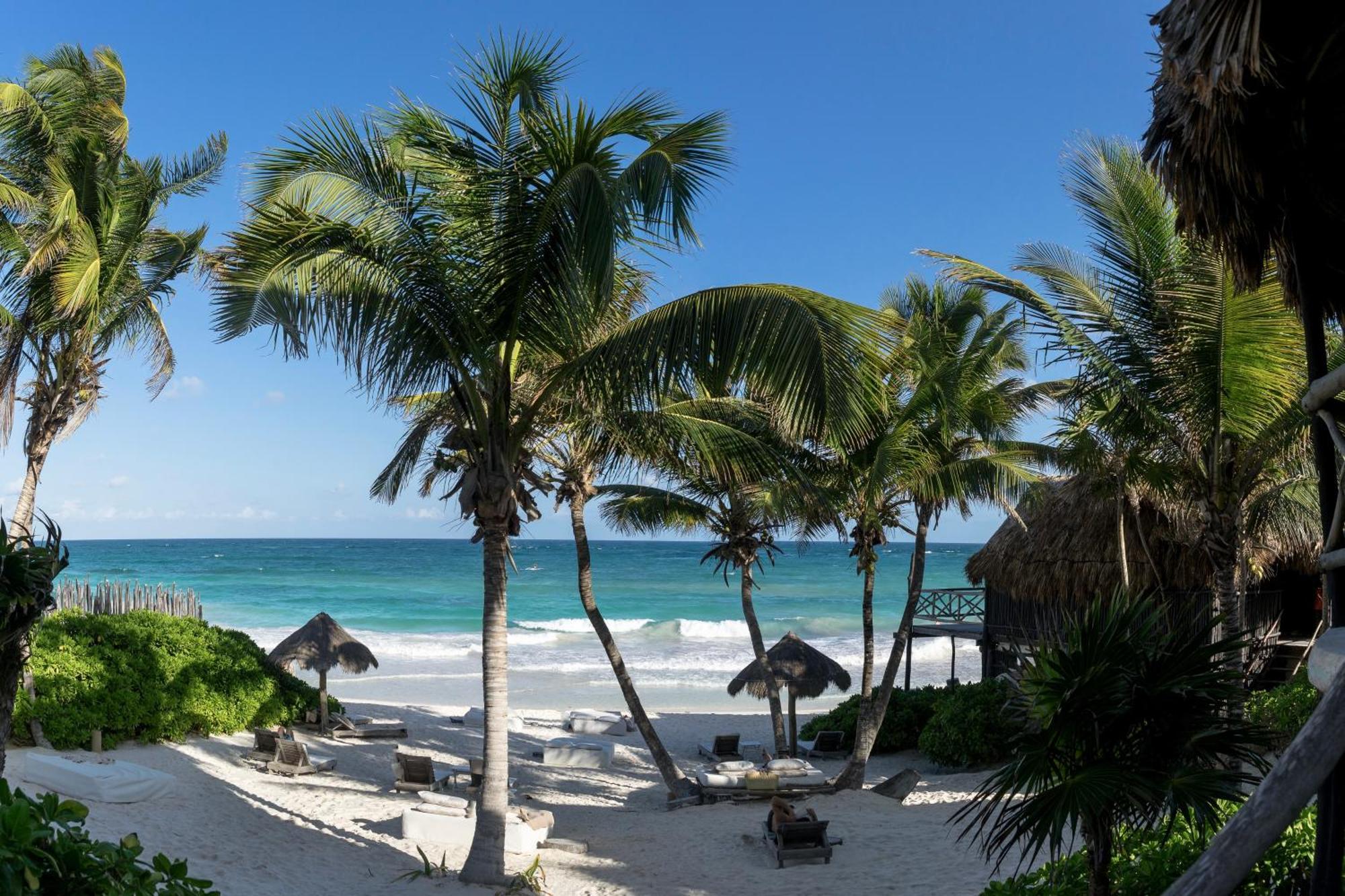 Luv Tulum