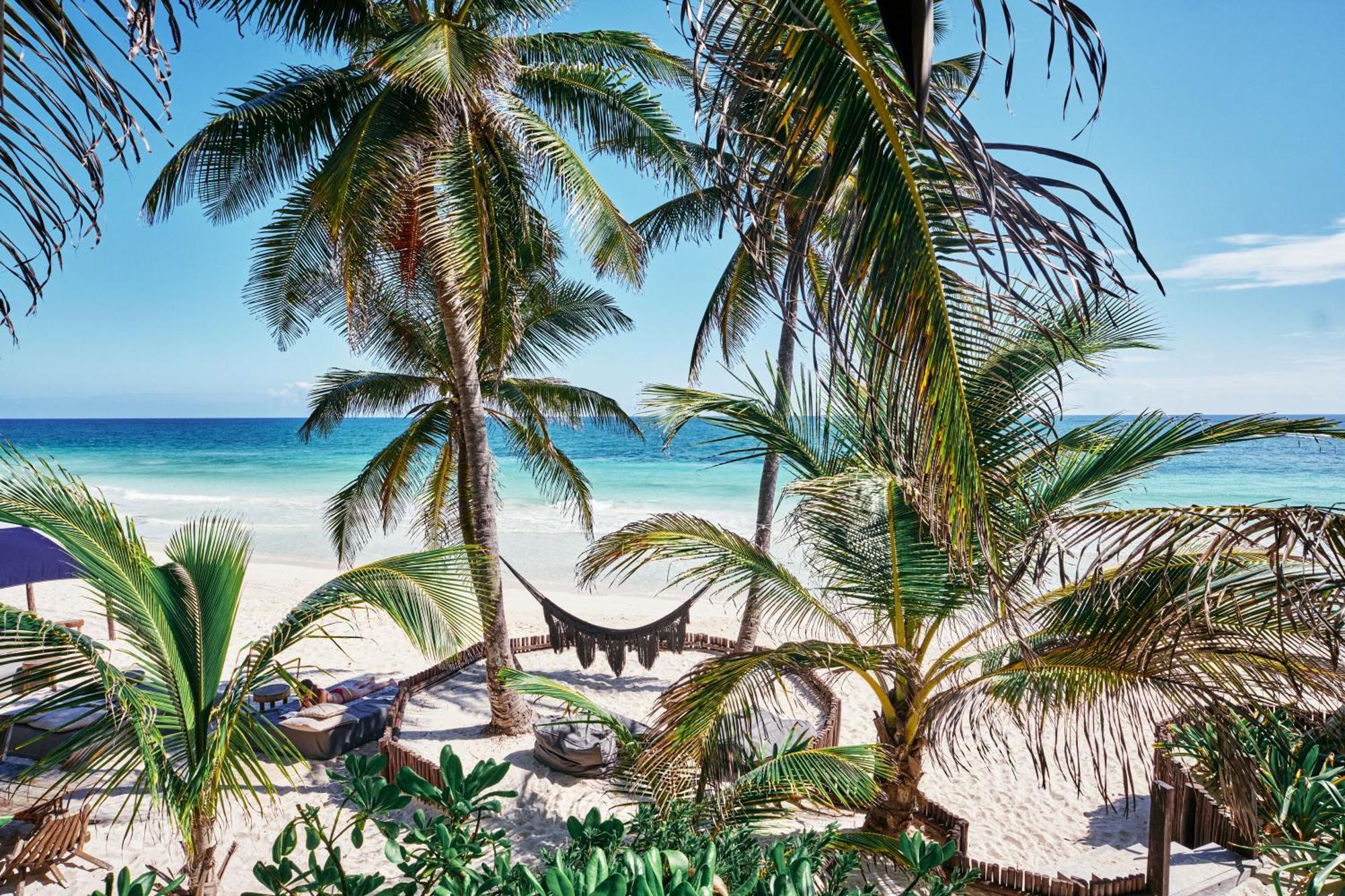 Libelula Beachfront Hotel