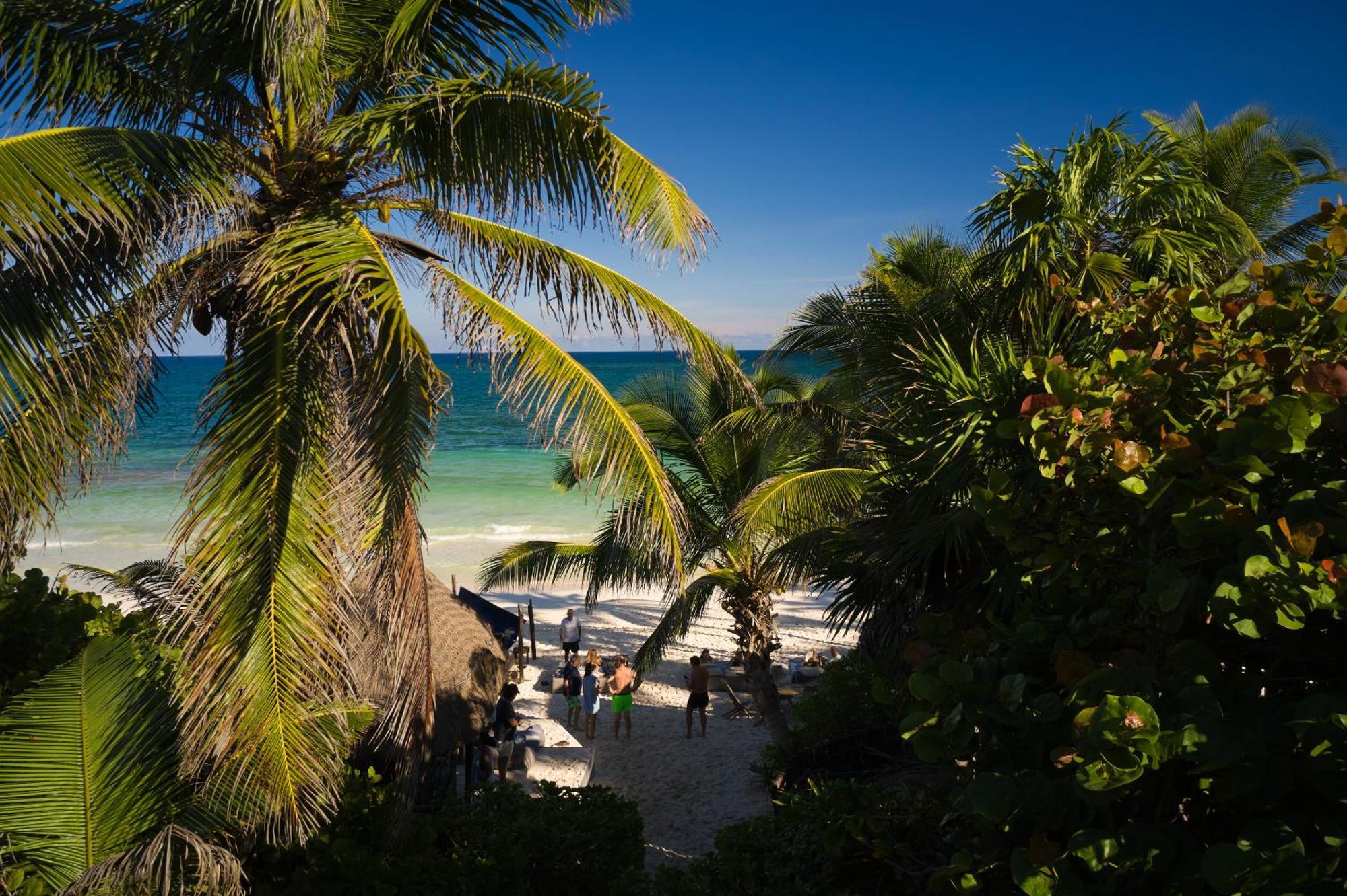 Hotel Libelula Beachfront