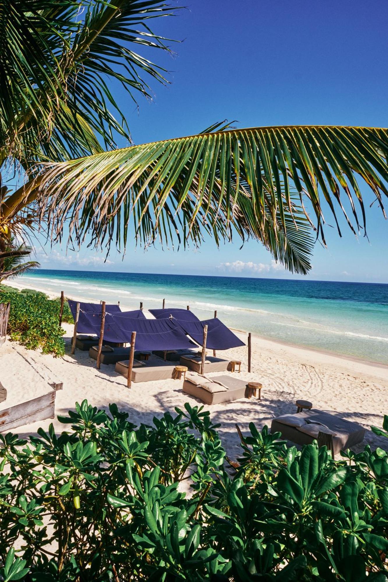 Libelula Beachfront Hotel Tulum