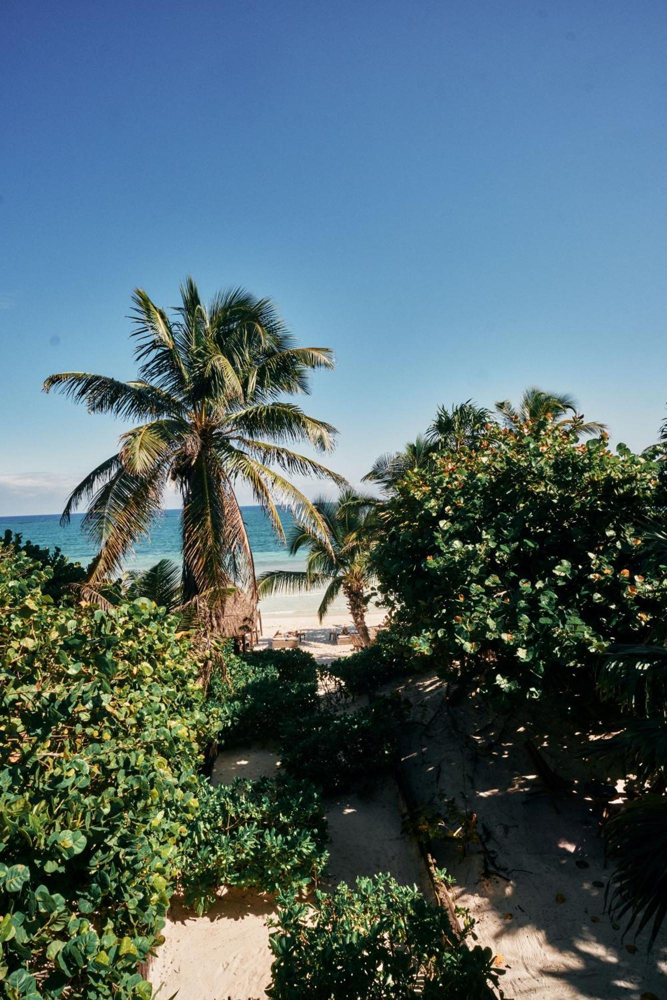 Libelula Beachfront 4* Tulum