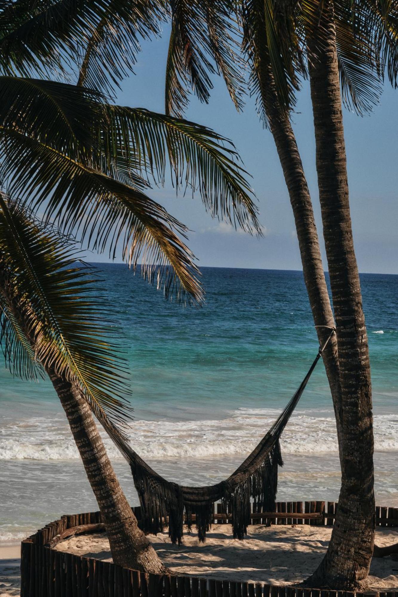 Libelula Beachfront Hotel 4*