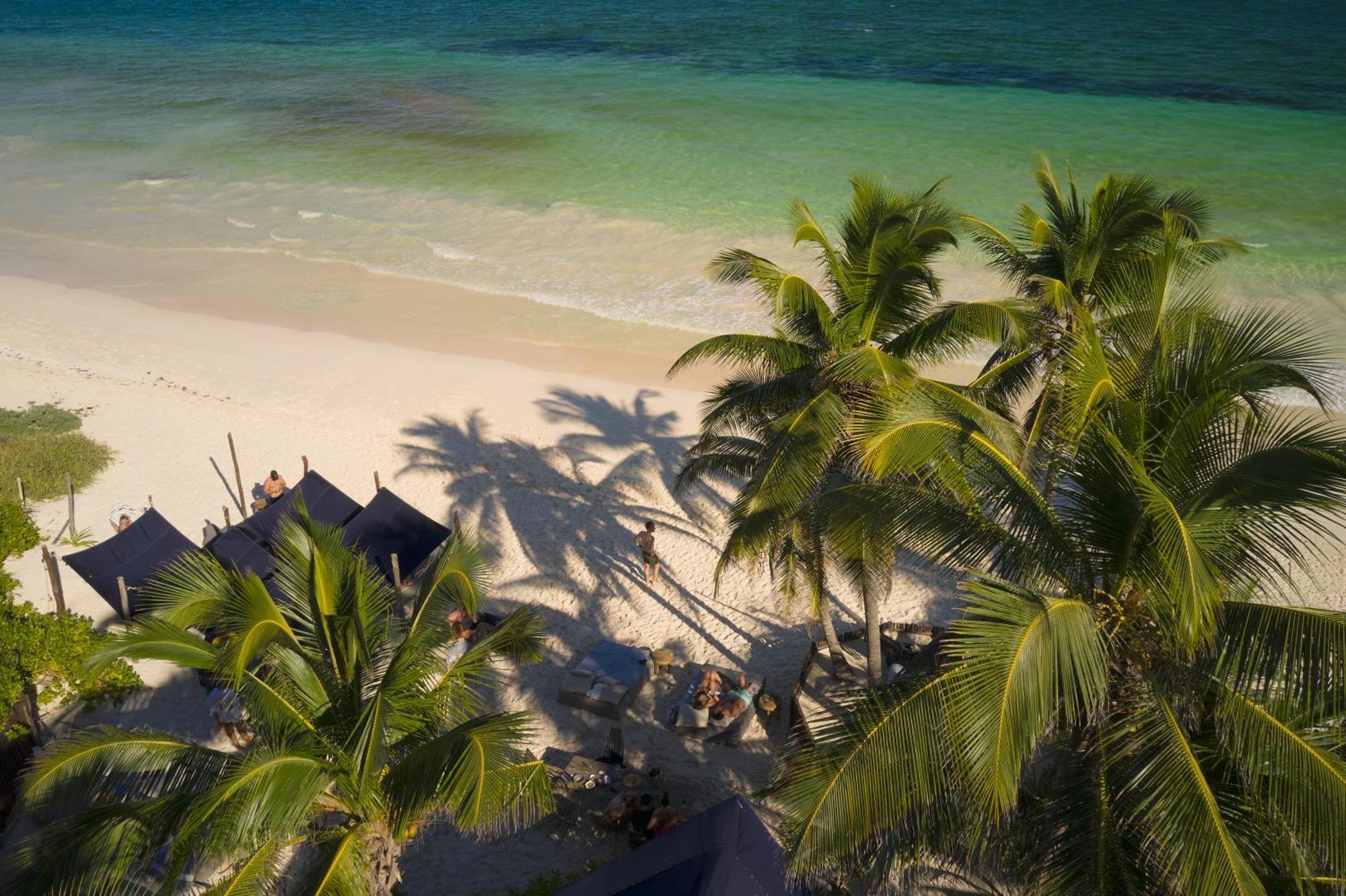 Libelula Beachfront