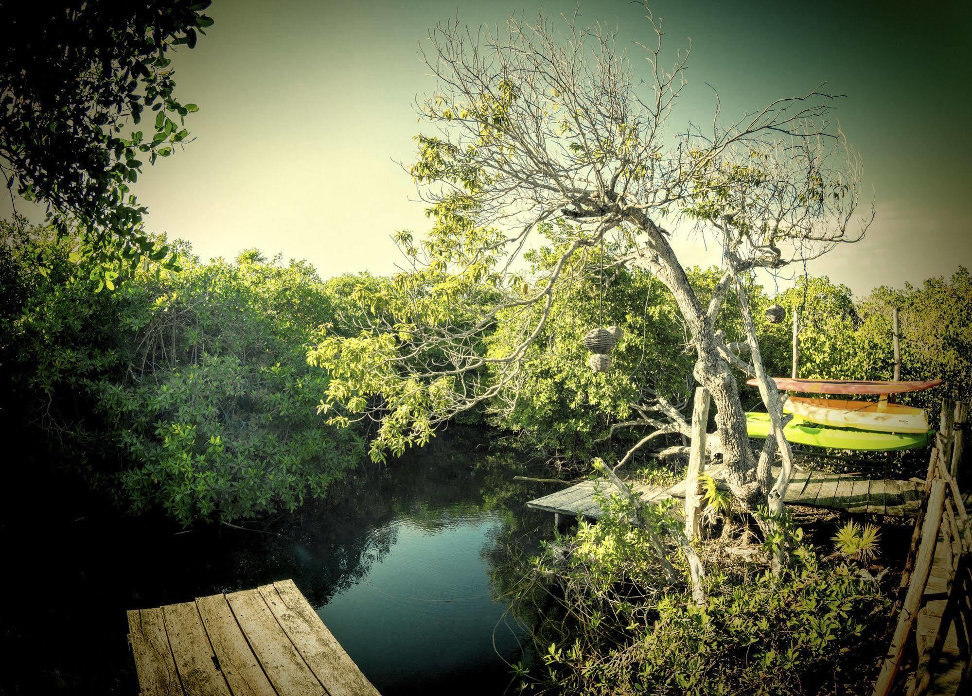 Manglex Eco Hotel Tulum Tulum
