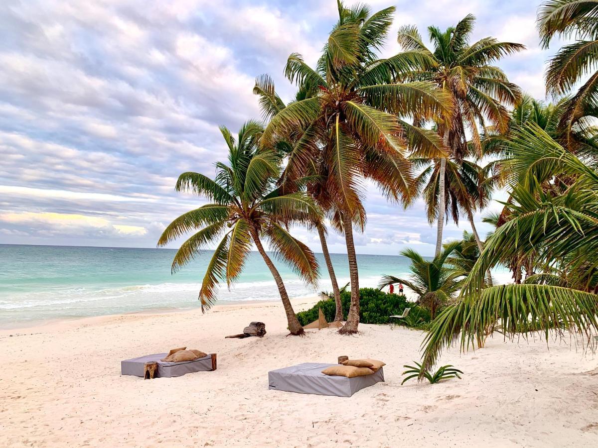Libelula Beachfront Hotel