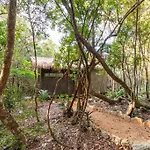 Ojo De Agua. Design+Pool. Vive La Autentica Selva!