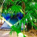 Turquesa Tulum Jungle Camping