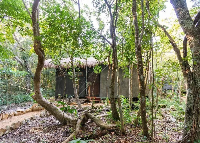 Ojo De Agua. Design+Pool. Vive La Autentica Selva!