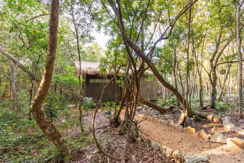 Ojo De Agua. Design+pool. Vive La Autentica Selva! Tulum