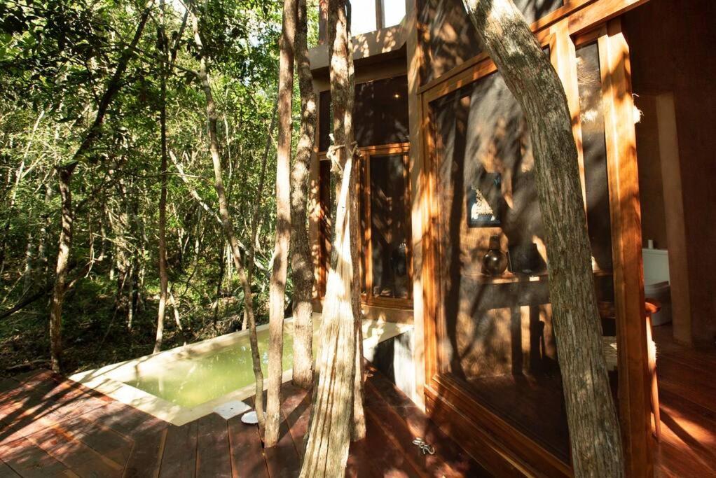 Ojo De Agua. Design+pool. Vive La Autentica Selva! Tulum