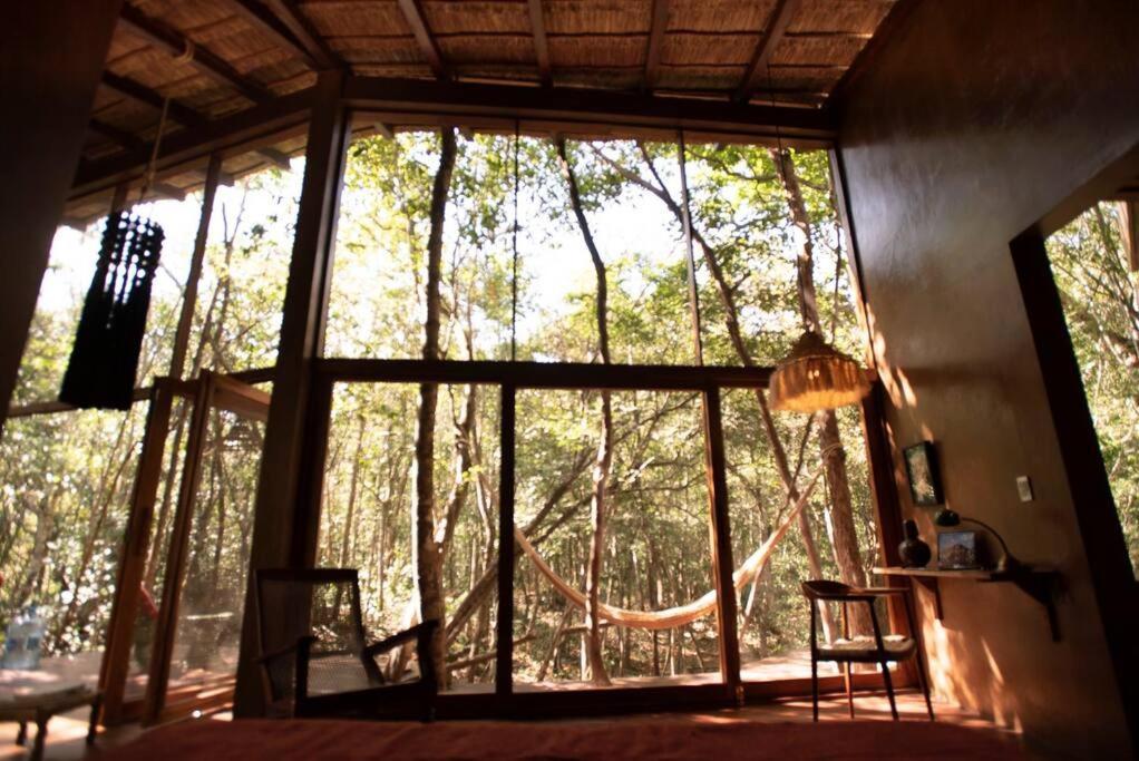 Ojo De Agua. Design+pool. Vive La Autentica Selva! Tulum