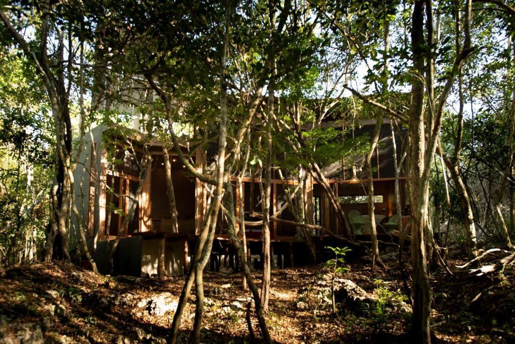 Ojo De Agua. Design+pool. Vive La Autentica Selva! Holiday home Tulum