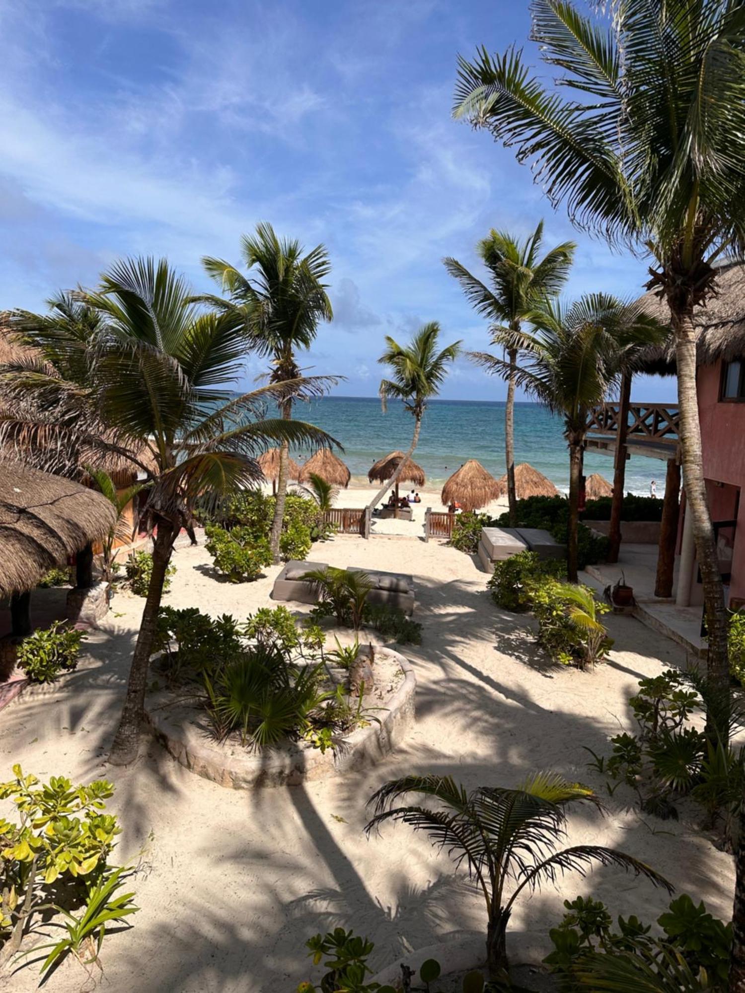 La Conchita (adults Only) 4*