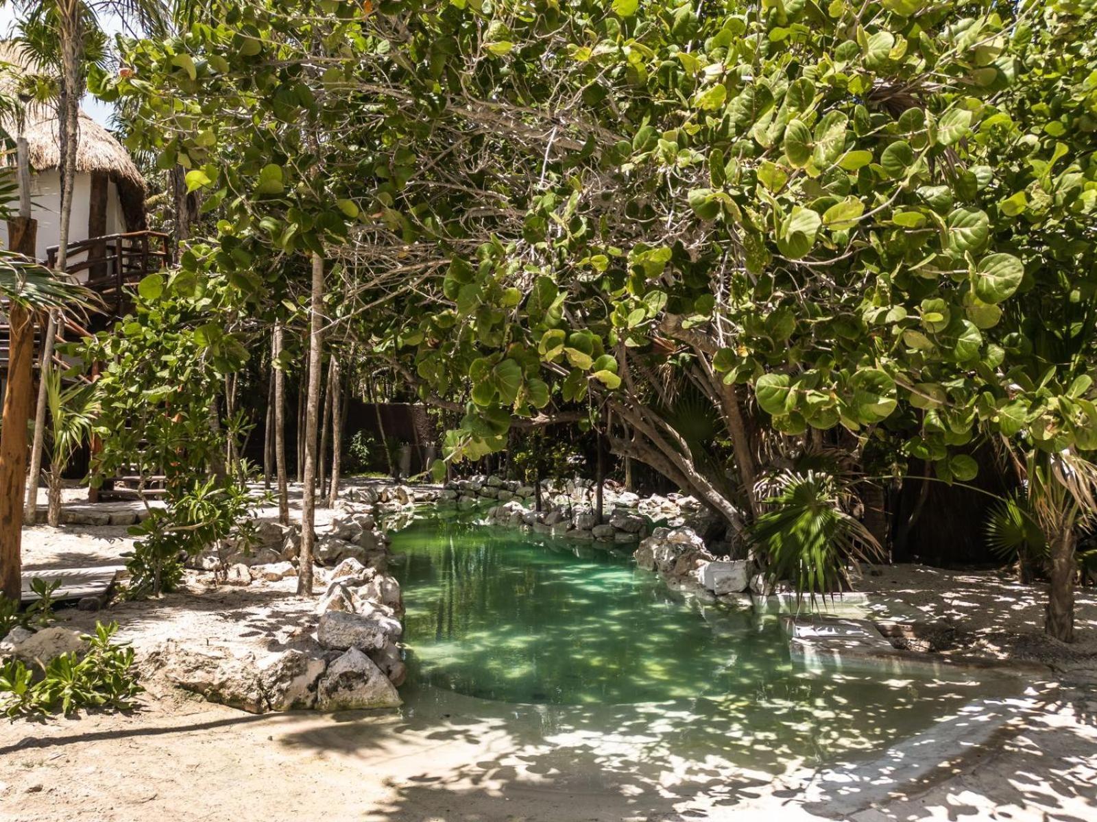 Niken Beachfront 4* Tulum