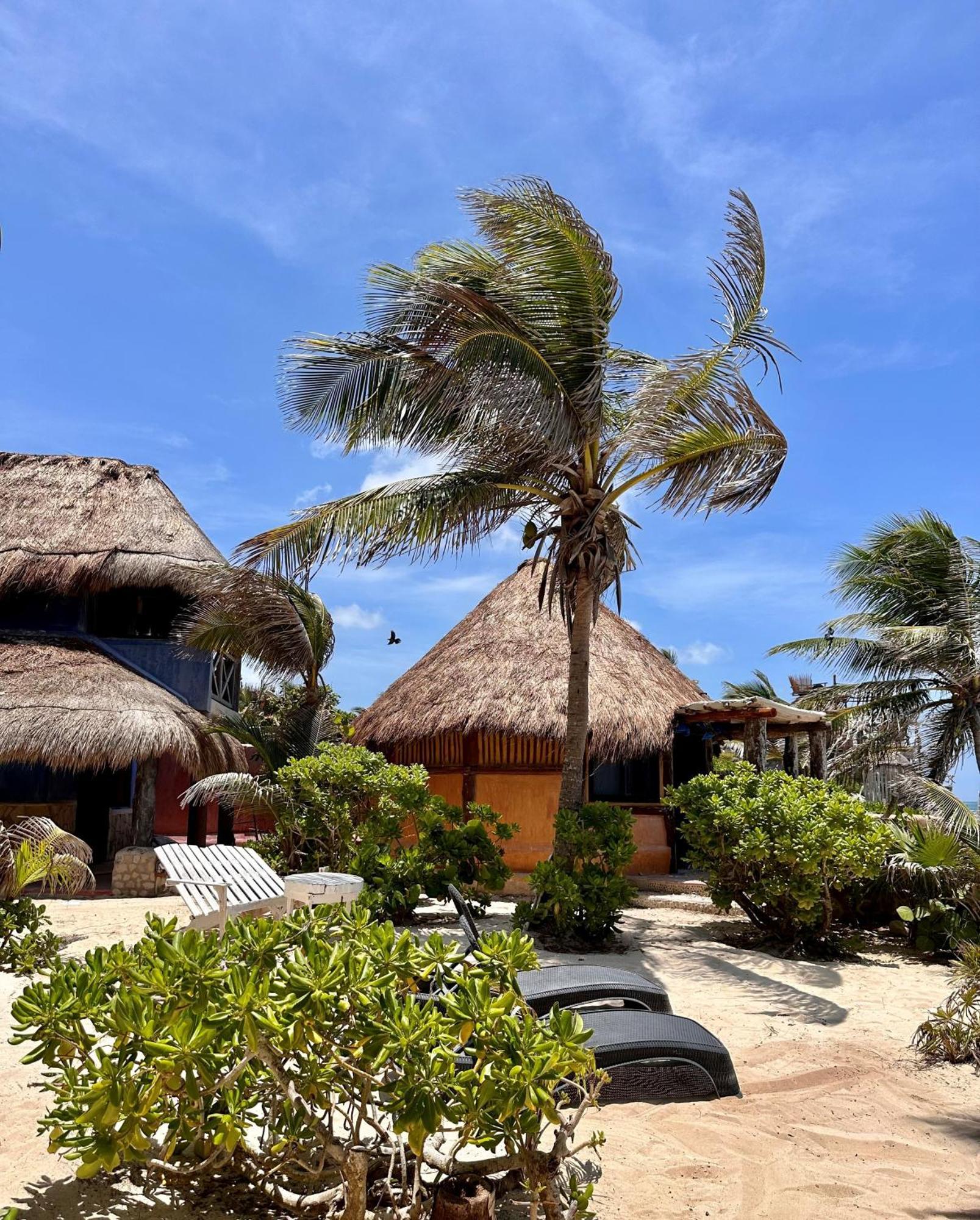 Hotel La Conchita (adults Only) Tulum