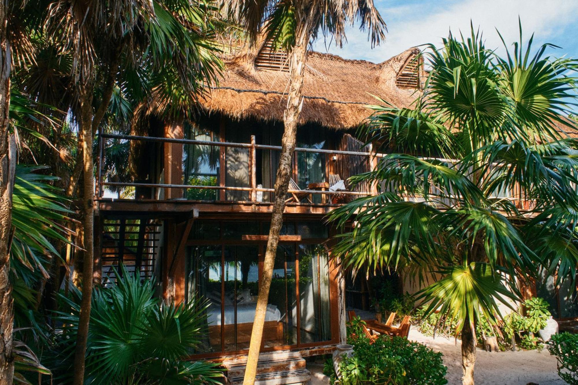 Libelula Beachfront