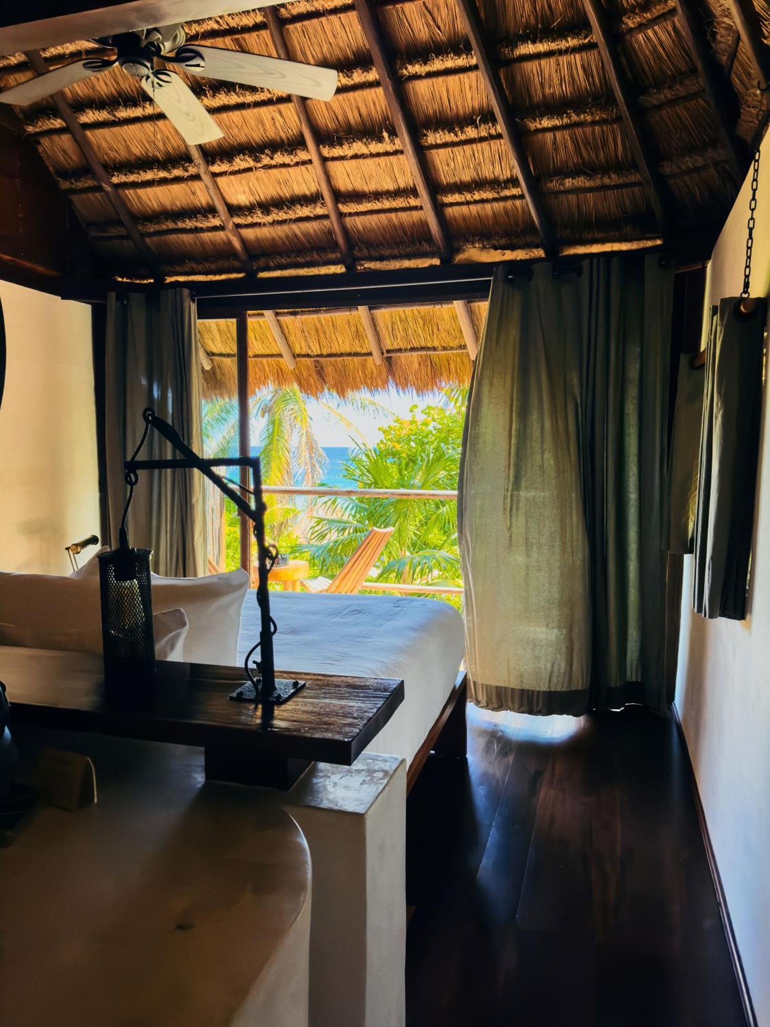 Libelula Beachfront