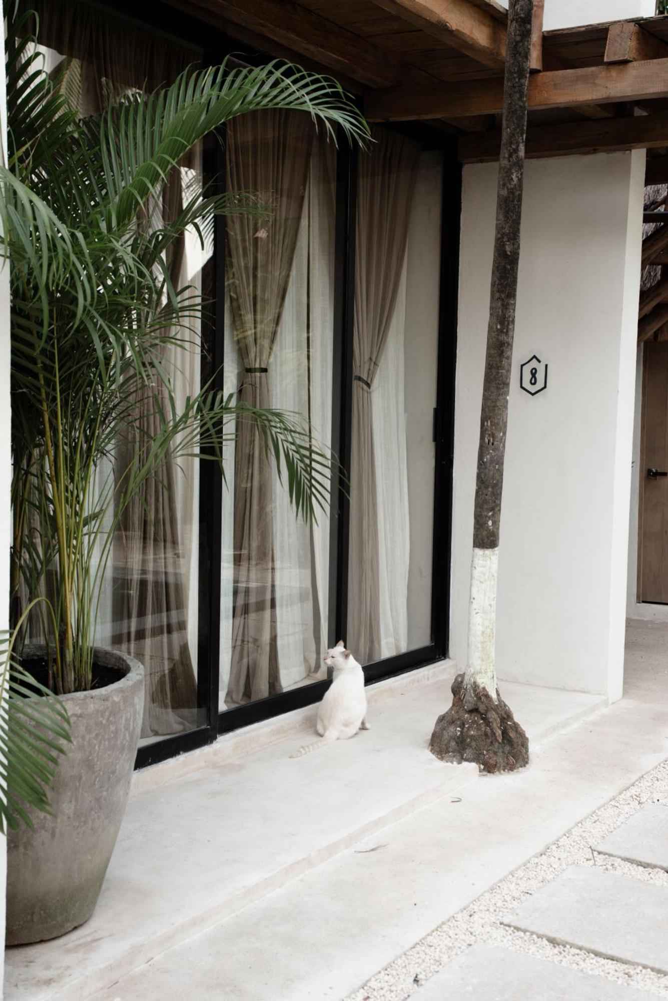 Tuup 3* Tulum