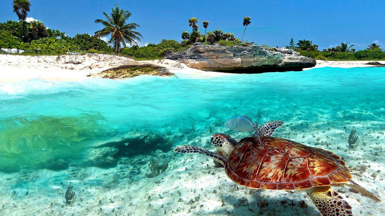 Naay Bej Hotel Tulum