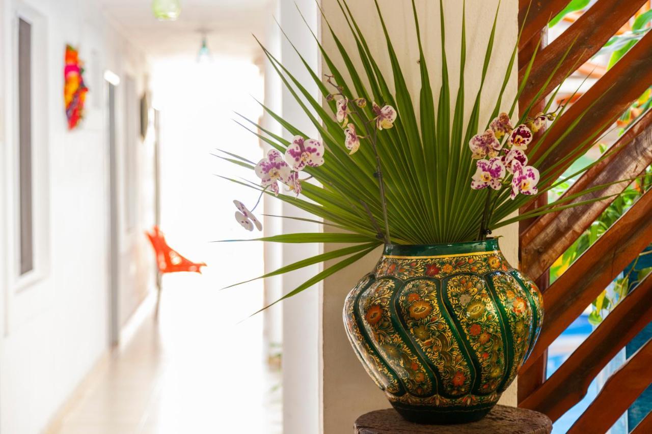 Mestizo Gallery Hotel